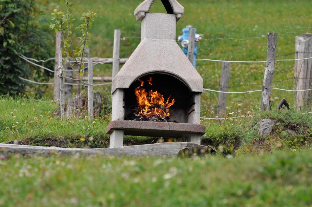 Hauserhof Am Goldberg Dellach  Eksteriør bilde
