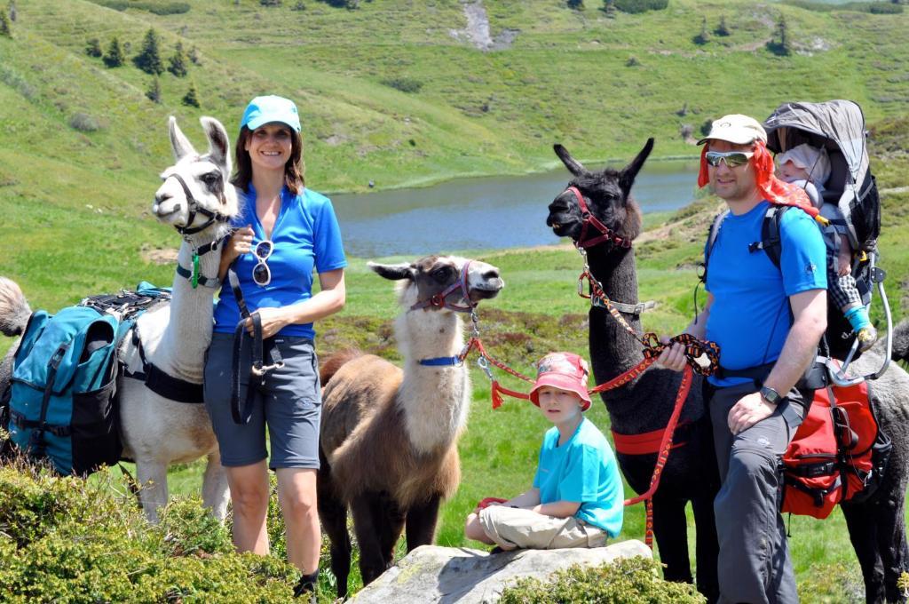 Hauserhof Am Goldberg Dellach  Eksteriør bilde